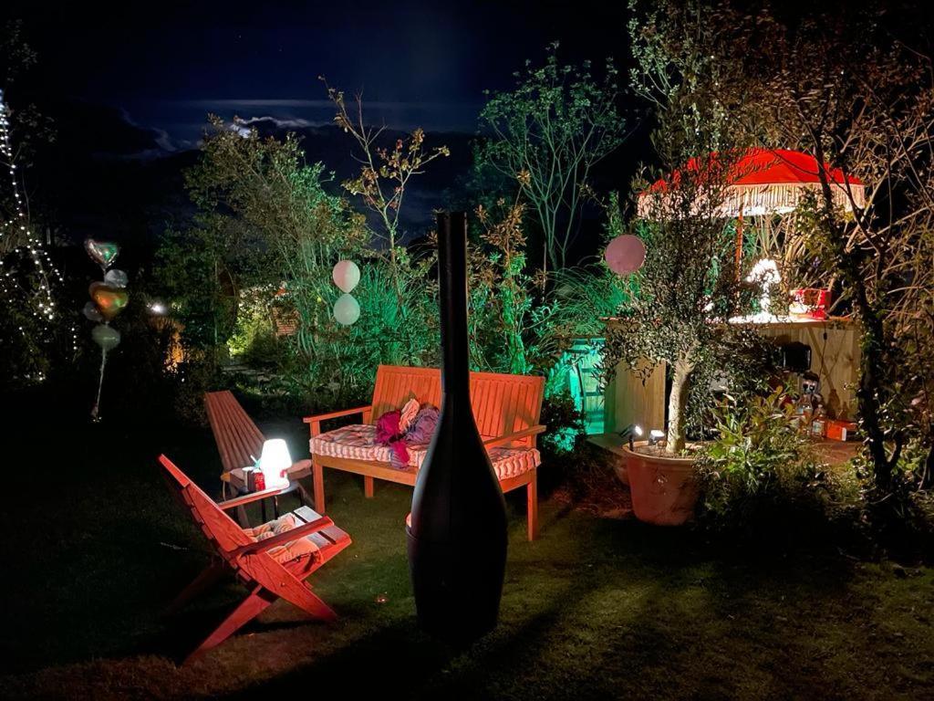 Dragonfly Glamping Spa Retreat Ашфорд Екстериор снимка