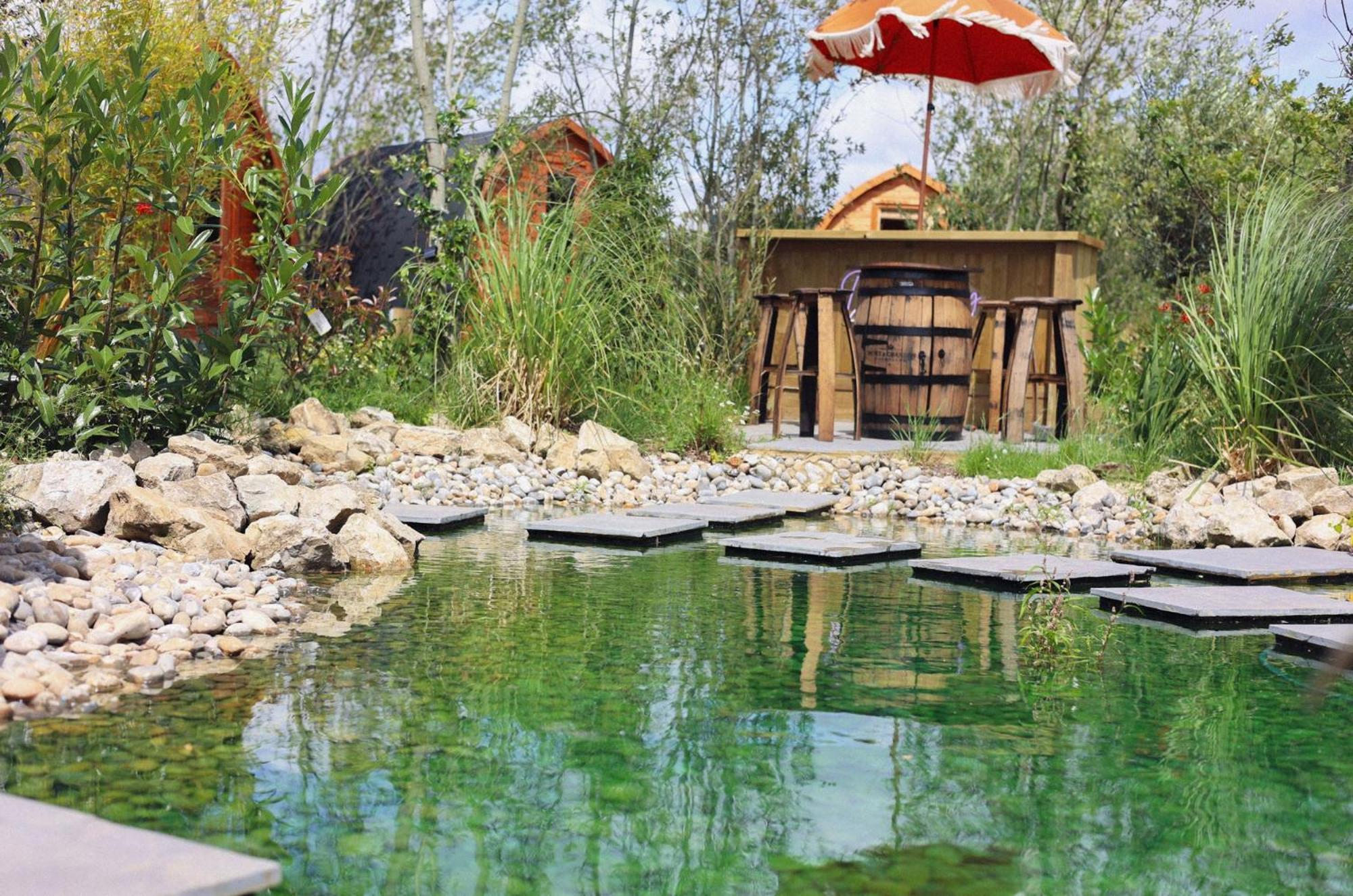 Dragonfly Glamping Spa Retreat Ашфорд Екстериор снимка