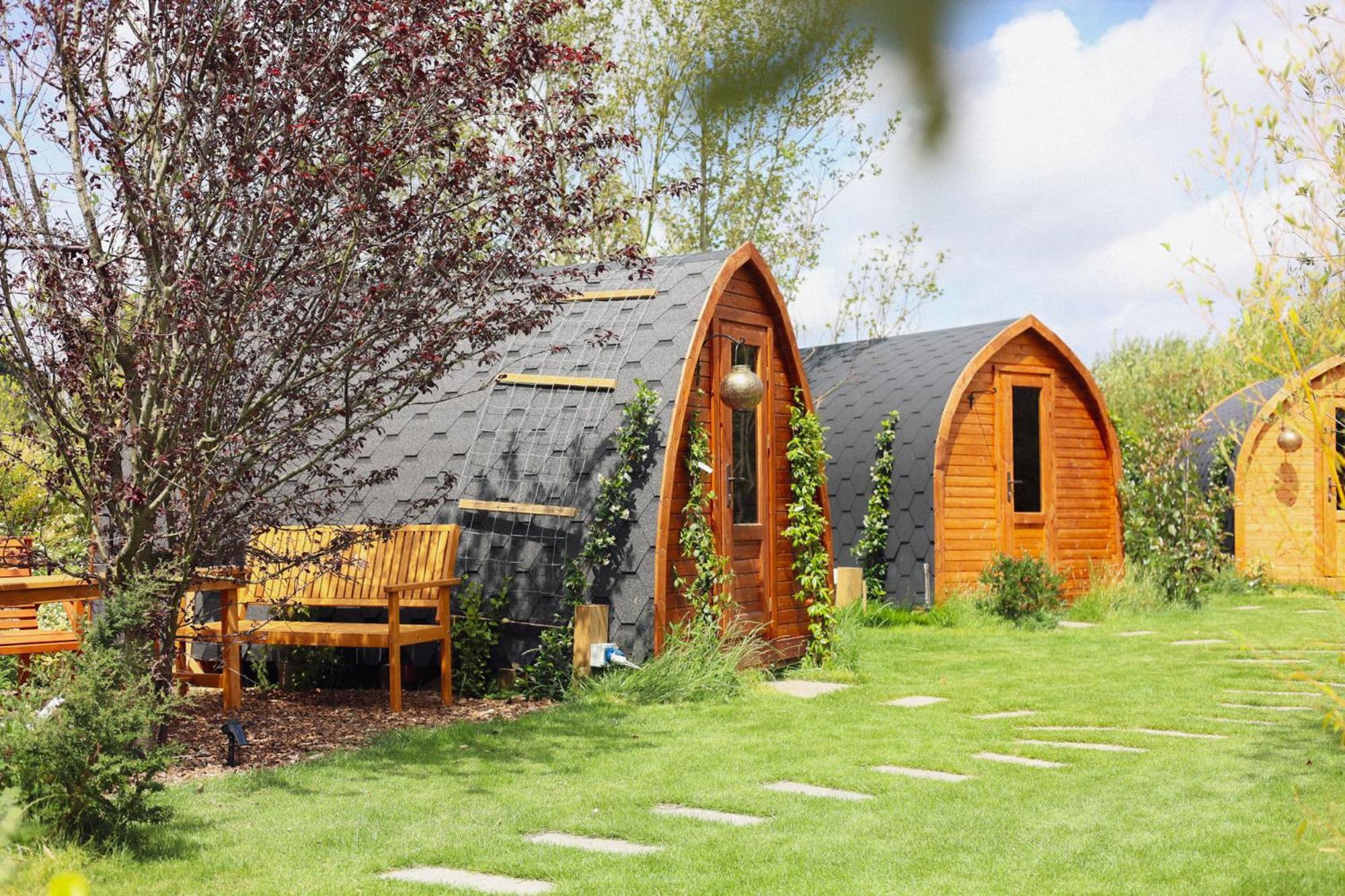 Dragonfly Glamping Spa Retreat Ашфорд Екстериор снимка